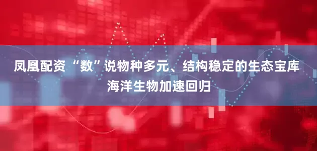 凤凰配资 “数”说物种多元、结构稳定的生态宝库 海洋生物加速回归